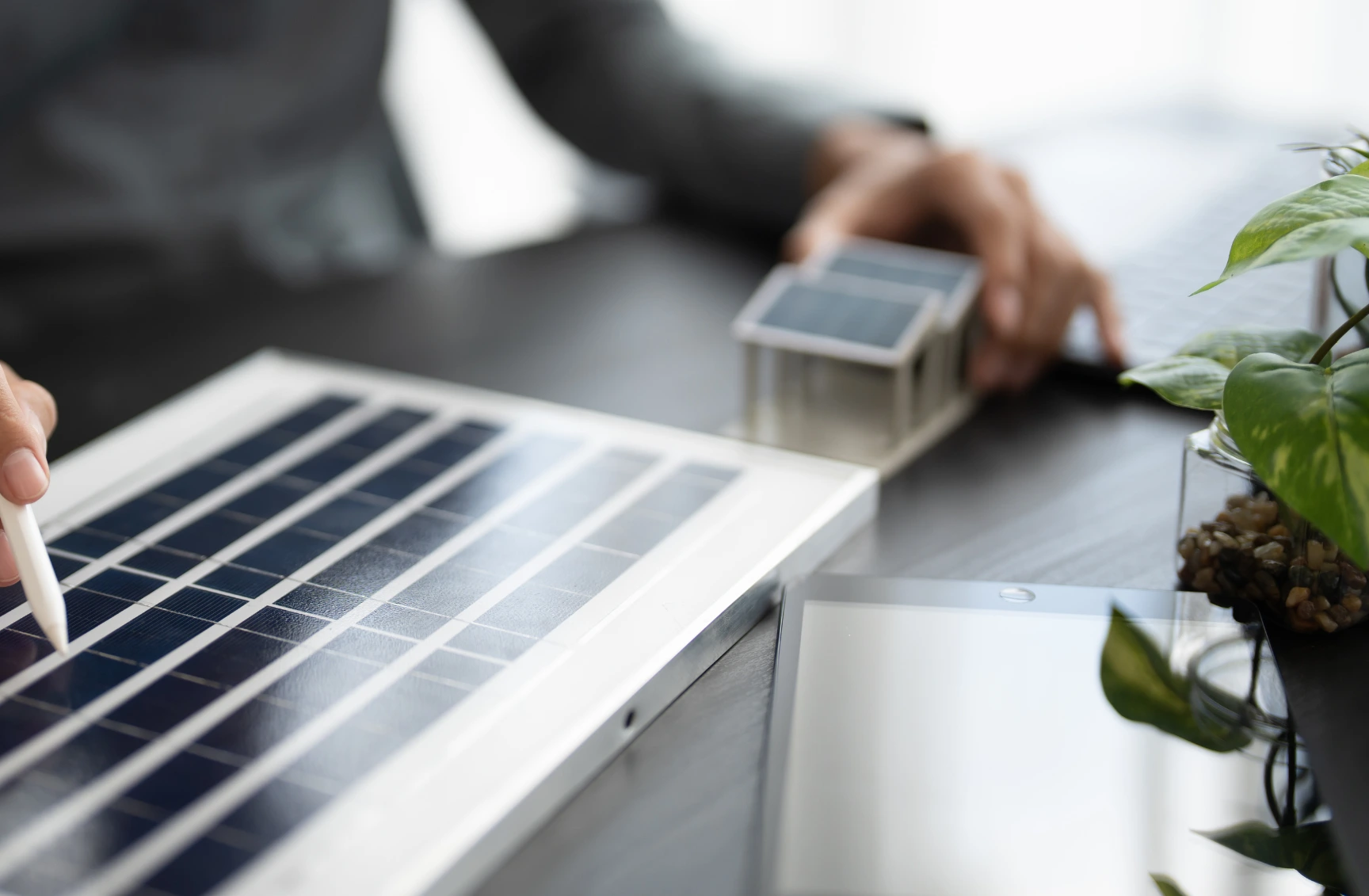 renewable xintra (1)